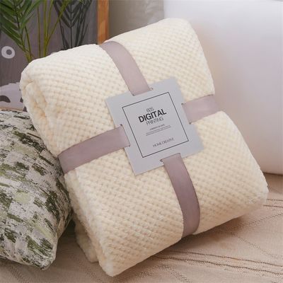 All-Season Custom Solid Square Flannel Blanket 300GSM Coral Fleece Sofa Gooien Blanket