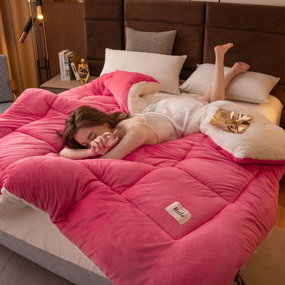 Gezonde Slaap Ondersteuning Dekbed Elegante Comfort Zachtste Gezelligste Zwaargewicht Sherpa-backing