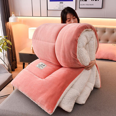 Lichte roze Oeko-Tex Comforter Twin Bed Set geschikt voor alle seizoenen