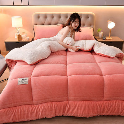Lichte roze Oeko-Tex Comforter Twin Bed Set geschikt voor alle seizoenen