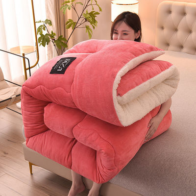 Four Seasons Universal Down Alternatieve Quilted Comforter Dekbed Insert voor het hele seizoen