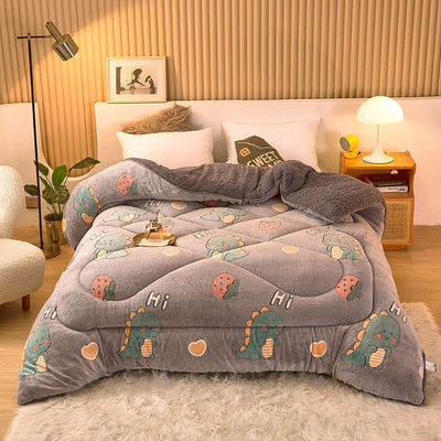 Voorbeeld Duurzaam Superzacht Warm Cozy Winter Quilt Dubbelzijdig Zacht Fluwelen Comforter
