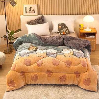 Voorbeeld Duurzaam Superzacht Warm Cozy Winter Quilt Dubbelzijdig Zacht Fluwelen Comforter