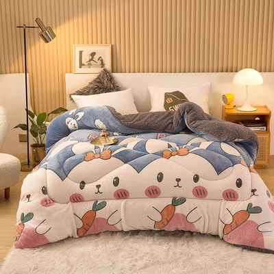 Voorbeeld Duurzaam Superzacht Warm Cozy Winter Quilt Dubbelzijdig Zacht Fluwelen Comforter
