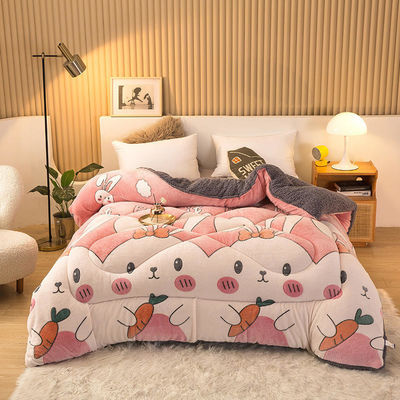 Voorbeeld Duurzaam Superzacht Warm Cozy Winter Quilt Dubbelzijdig Zacht Fluwelen Comforter