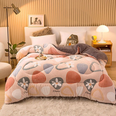 Voorbeeld Duurzaam Superzacht Warm Cozy Winter Quilt Dubbelzijdig Zacht Fluwelen Comforter