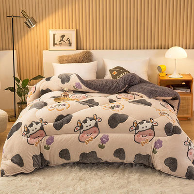 Voorbeeld Duurzaam Superzacht Warm Cozy Winter Quilt Dubbelzijdig Zacht Fluwelen Comforter