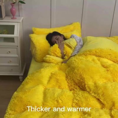 128x68 Stofdichtheid Mink Pel Velvet Fluffy Plush Bedden Set 4 Stuks Regenboogkleur