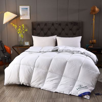 Hilton Duvet Double Spring Autumn Winter Quilt Core en Hot Style voor Micro-Business