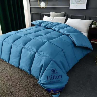Hilton Duvet Double Spring Autumn Winter Quilt Core en Hot Style voor Micro-Business