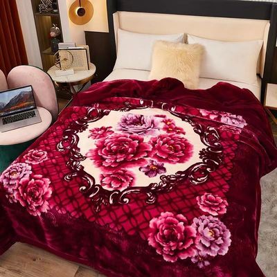 2-3 kg Warm Soft Comfortable Koreaanse Double Player Raschel Blanket met Warmte Functie