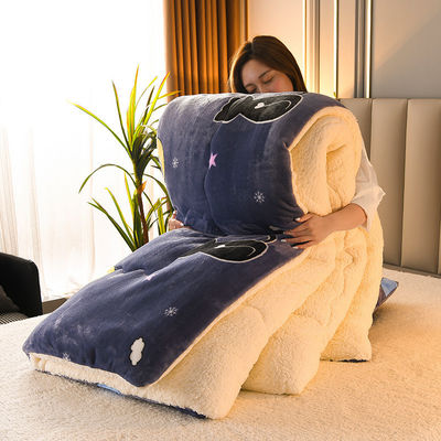 100% polyester All-Season Customized Warm Lamb Fleece Comforter Bed Set